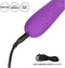 CalExotics Embrace - Swirl Massage Vibrator purple