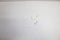 Apple AirPods Pro 3 - Draadloze oordopjes - ANC - Wit