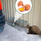Gardigo Live Marten Trap Niet dodelijke val Functies: Lokstof 1 stuk(s)