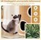 Coast Krabton 4-Laags - Kattenhuis met 3 Kattenholen en Sisal Krabvlak Ø36 x 59,5 cm
