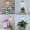 Parus by Venso SUNLiTE Kweeklamp 7W koper, LED groeilamp met telescopische staaf, groeilamp voor kamerplanten en groene planten