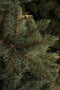 Triumph Tree - Kunstkerstboom - Slim Forest Frosted - Blauw - 155cm