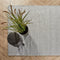 Emerald - Kunstplant Kattenstaart Gras kort 100cm - Kunstplanten voor binnen