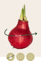 Plant in a Box - Amaryllis - Hippeastrum 'Glitter Red' - Bloembol - Rode bloemen