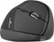 Bluestork M-WL-ERGO-BK - Draadloze Muis - 1200 DPI - Zwart Grijs