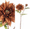 PTMD Dahlia Kunstbloem - 25 x 30 x 75 cm - Kunststof - Bruin