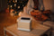 Bang & Olufsen Beolit 20 - Draadloze luidspreker - 70W RMS - Grijs