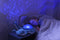 Cloud B Tranquil Whale Familie Blauw Walvis Muzikale Babyprojector