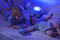 Cloud B Tranquil Whale Familie Blauw Walvis Muzikale Babyprojector