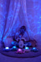Cloud B Tranquil Whale Familie Blauw Walvis Muzikale Babyprojector