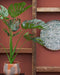 Mica Decorations Monstera - Kunstplant staand - H100 cm - Groen