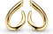 Fame Oorhangers - Goud Verguld - Luxueus - Unisex