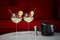 Leopold Vienna - Gin Tonic glazen + barmaatje + cocktaillepels - Giftset moederdag & vaderdag G&T