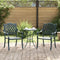 vidaXL - Tuinstoelen - 2 - stuks - Groen - Gietijzer