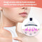 F Femmez Facelift - Huidverjongingsapparaat - Vermindert rimpels en acne - Inclusief Aloe Vera masker