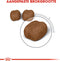 Royal Canin Dental Care - Kattenvoer - 1.5 kg