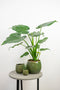 Ter Steege Bloempot Groen-Forest D 19 cm H 16 cm