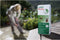 Care Plus Anti-Insect Deet 40% Spray - Muggenspray - 200ml