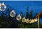 Firefly Orbes 365 Solar Festoon - SMARDTV - 10 lichtbollen van 8cm - Warm wit - 4,7m