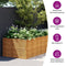 vidaXL - Plantenbak - verhoogd - 479x100x69 - cm - cortenstaal