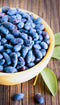 Haskapa 100% Natural Freeze-dried Haskap Berry Powder - Superfood Berry Powder - High in Vitamin C
