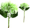 PTMD Hydrangea Flower Hortensia Prikker - 16 x 15 x 35 cm - Groen