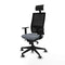 Bureaustoel met hoofdsteun Piqueras y Crespo 1D066G1 Grijs