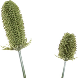 PTMD Dipsacus Kunsttak - 93 x 16 x 94 cm - Kunststof - Groen