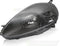 Koplamp links - voor Fiat Grande Punto 2005-2008 - TYC - grijs