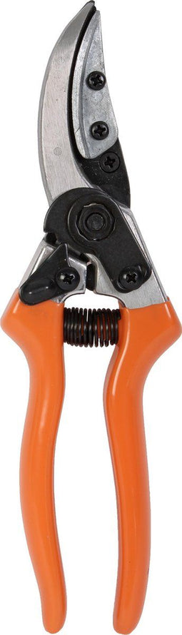 Talen Tools presenteerschaar