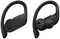 Beats Powerbeats Pro - Draadloze Oortjes - Zweet- en waterbestendig - Zwart