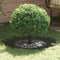 vidaXL - Plantenring - voor - Bomen - 5 - Stuks - Olijfgroen - Ø50/80 - cm - Staal