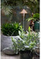 Parus by Venso SUNLiTE Kweeklamp 7W koper, LED groeilamp met telescopische staaf, groeilamp voor kamerplanten en groene planten