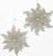Snowflake Acrylic Silver 4.75 Inch