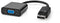 Nedis CCGT37350BK02 - DisplayPort naar VGA (D-Sub) Kabel - 20cm - Zwart