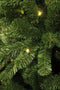Black Box Trees Charlton Kunstkerstboom met LED Verlichting - H215 cm - Groen