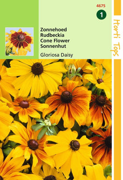 2 stuks - Hortitops - Rudbeckia Hirta Gloriosa Daisy Gemengd