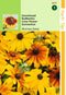 2 stuks - Hortitops - Rudbeckia Hirta Gloriosa Daisy Gemengd