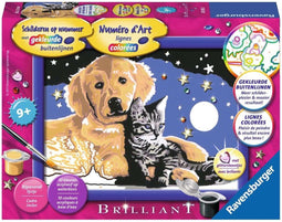 Schilderen Op Nummer - Schitterende Sterrenhemel