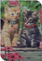 Diamant Painting Set - Assorti - Meerdere uitvoeringen