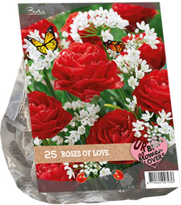 Baltus - Urban Flowers Roses of love per 25 bloembollen