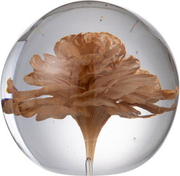 J-Line presse-papier bloem - glas - bruin - medium