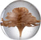 J-Line presse-papier bloem - glas - bruin - medium