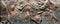 Juwel Aquarium Decoratie - Achterwand - L - 100x50cm