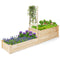 Coast Plantenbak - 2 Bakken en 1 Rek voor Klimplanten - Open Onderkant - 223 x 64 x 134 cm (2 stuks)