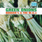 Green Onions (LP)