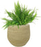 Ter Steege Plantenpot - moderne look - beige - 31 x 28 cm - bloempot