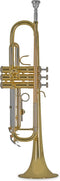 Bach Bb Trompet TR655