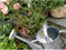 Gieter - zilverkleurig - zink - met broeskop - 9 liter - 56 x 24 x 41 cm