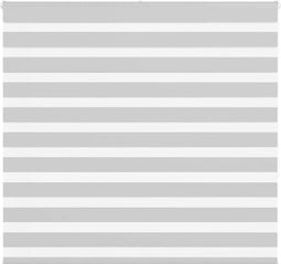vidaXL - Zebra - rolgordijn - 160x150 - cm - stofbreedte - 155,9 - cm - lichtgrijs